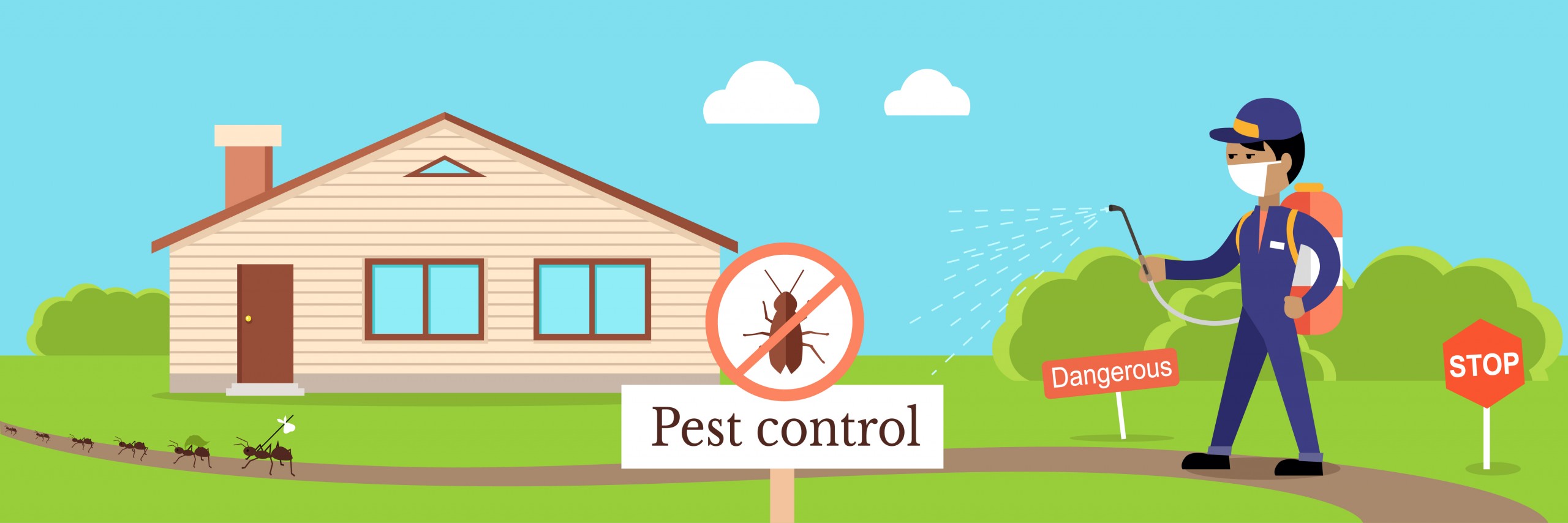 Get Rid of Pests With Different Types of Pest Control Services